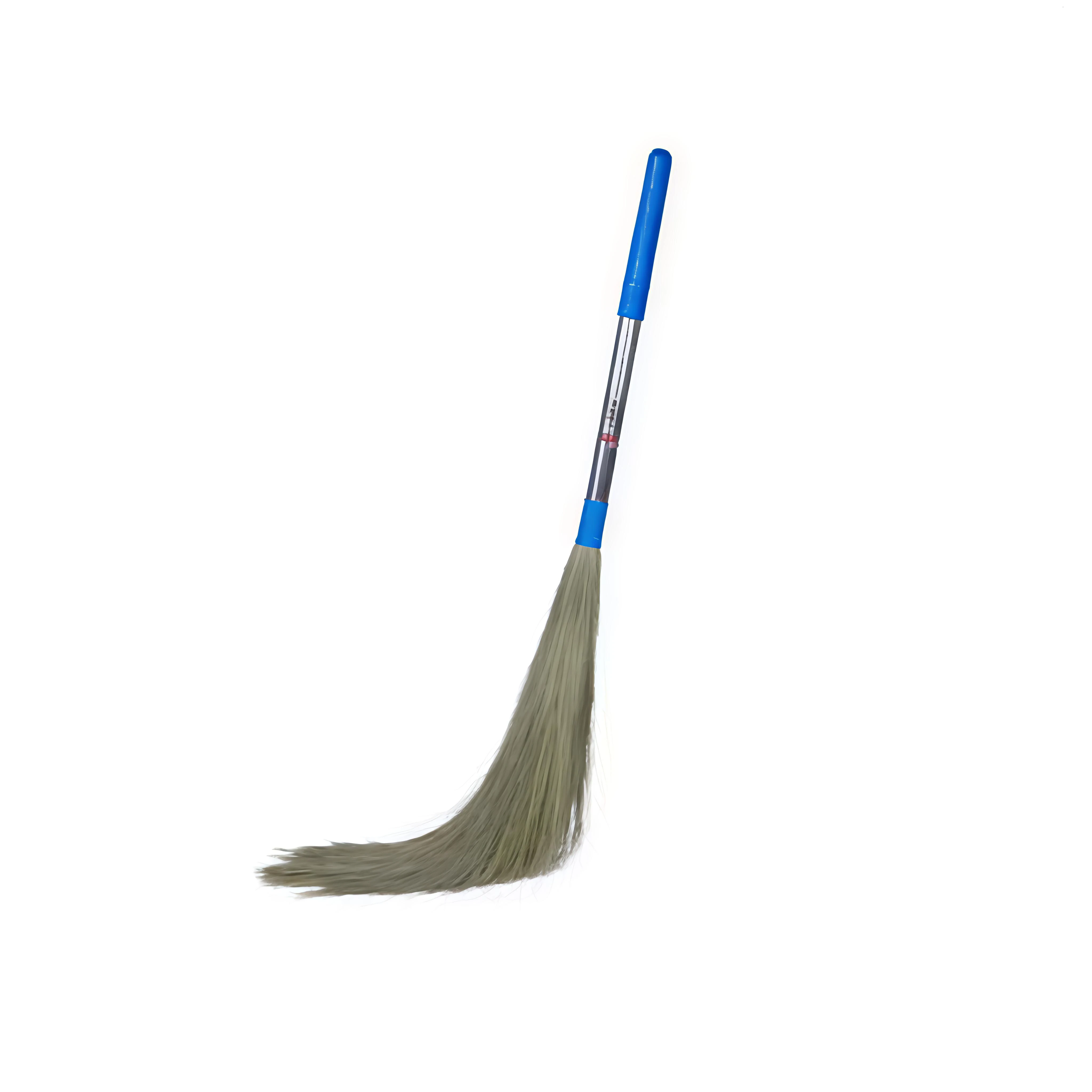 Cleaning Broom